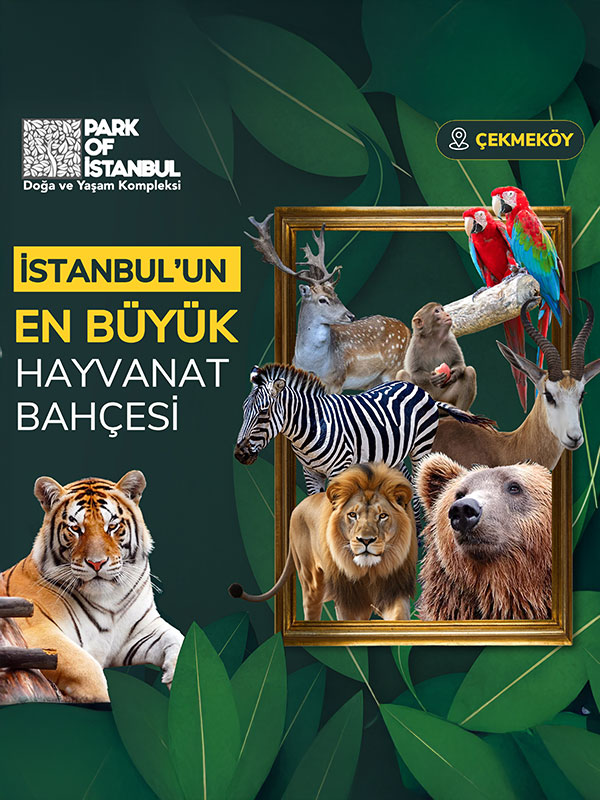 Park Of İstanbul Hayvanat Bahçesi afişi