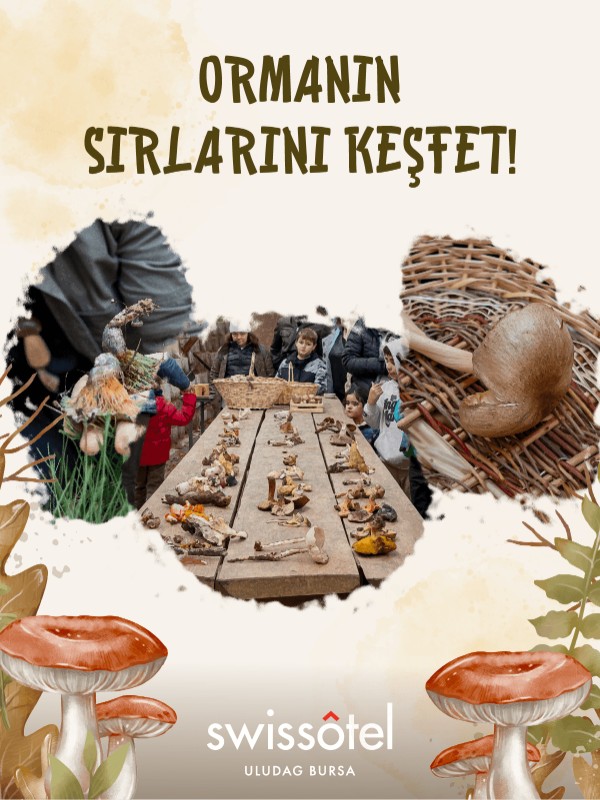 FungiTurkey ile Uludağ'da Mantar Avı - görsel 1