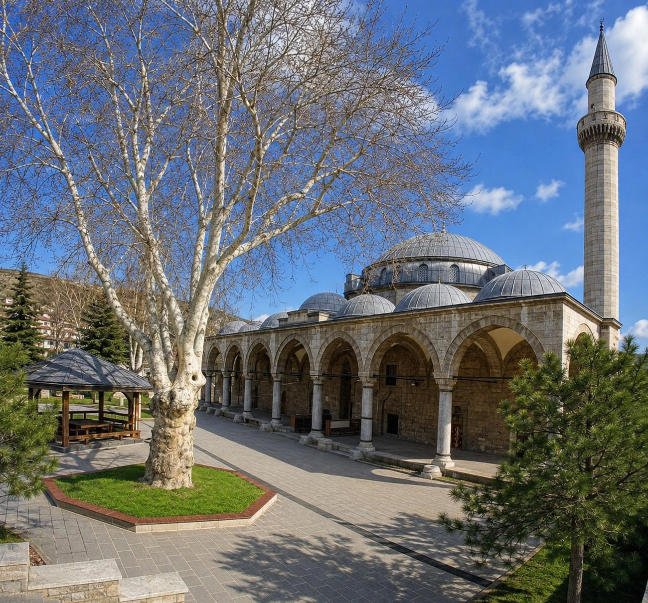 Ali Paşa Camii