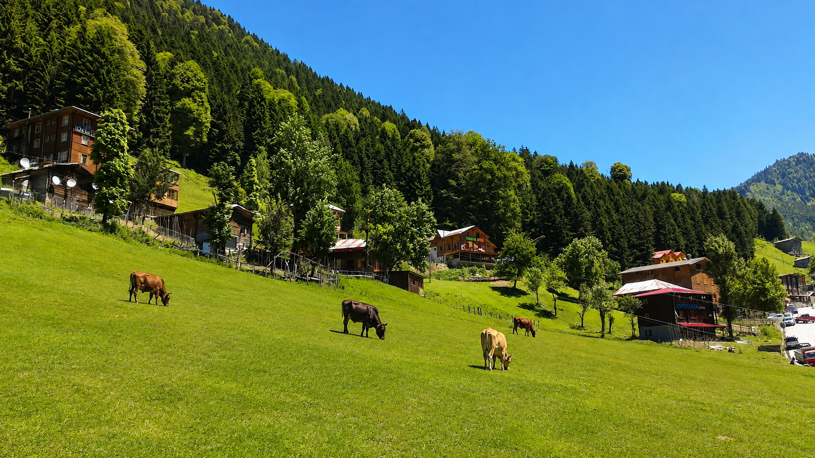 KAÇKAR BY UTMB - görsel 3