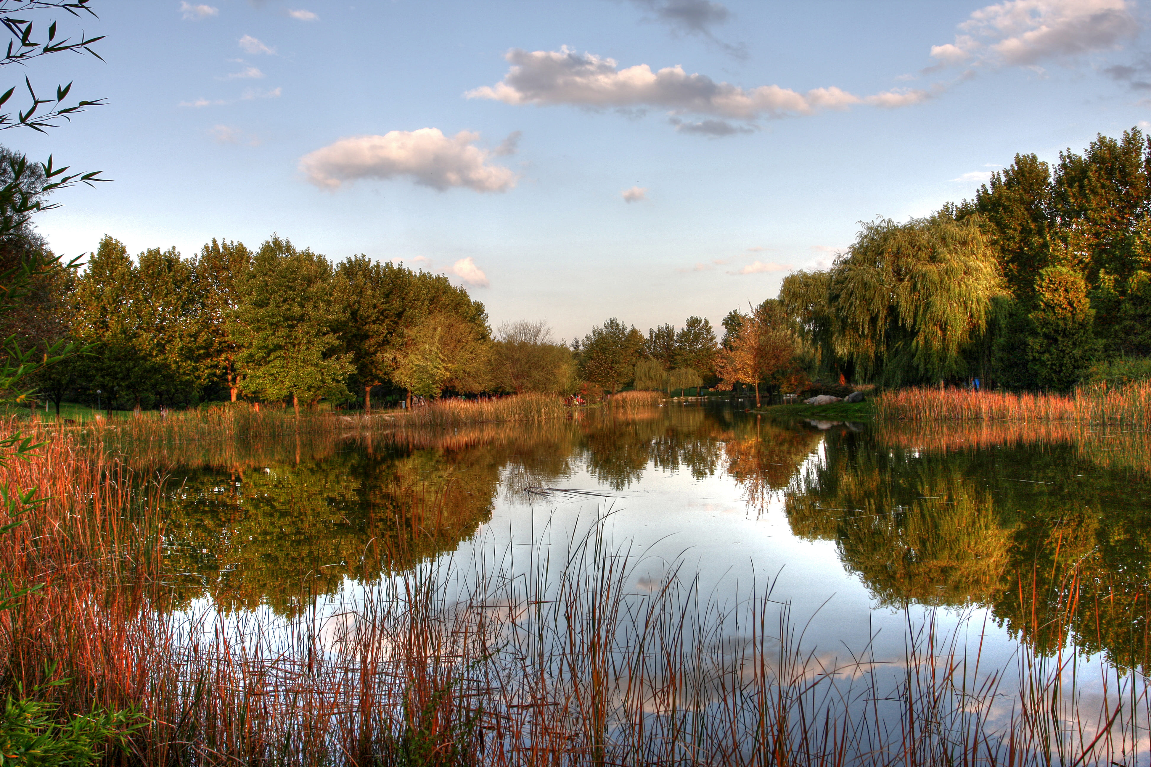 Soğanlı Botanik Parkı